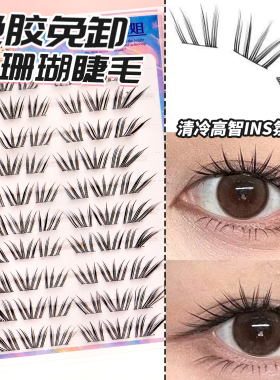 丝丝小姐珊瑚分段单簇假睫毛