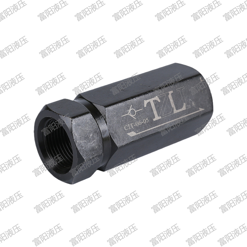 TZLI台企管式直通单向阀CIT-02/03/04/06/08液压油压止回阀止逆阀 - 图3