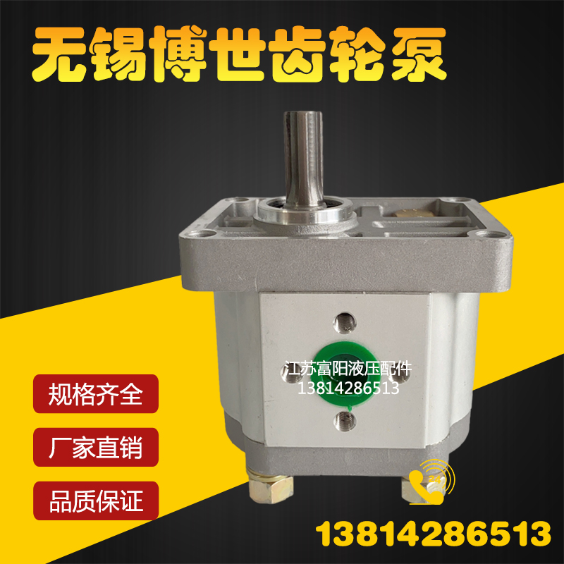 齿轮泵CBN-F310 F314 F306 F304 F320 F325 F316无锡博世液压油泵 - 图1