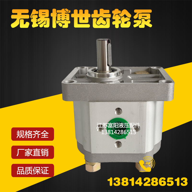 齿轮泵CBN-F310 F314 F306 F304 F320 F325 F316无锡博世液压油泵 - 图0