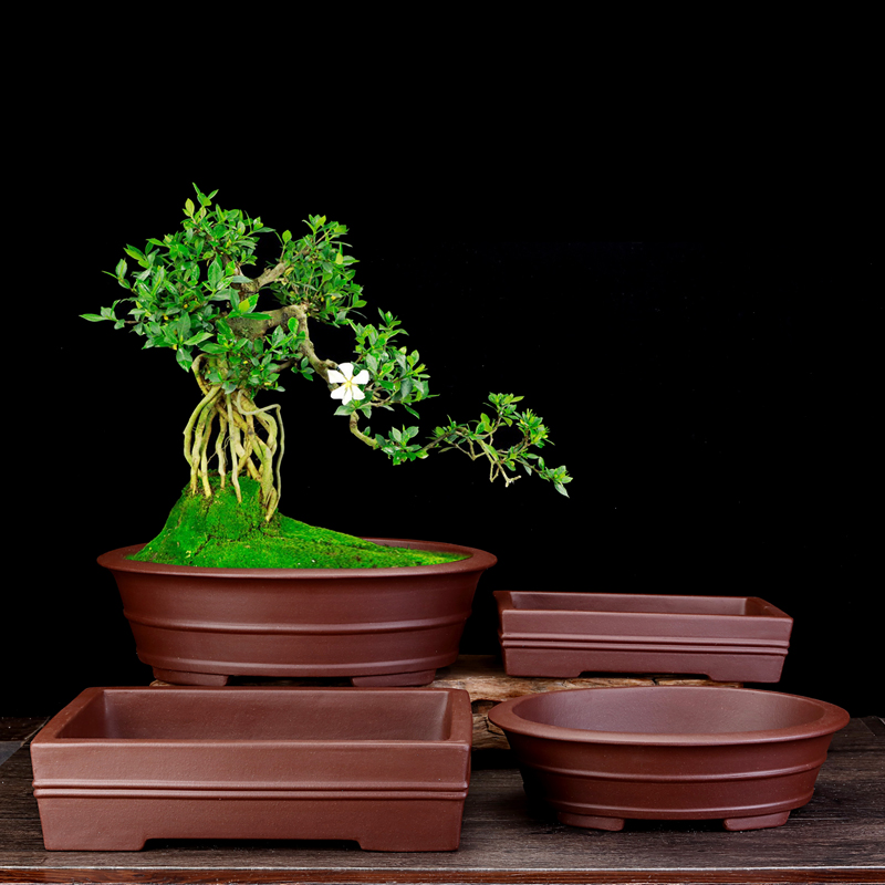 紫砂花盆精品长方形大号腰圆阳台桌面绿植盆景盆室内假山多肉老桩 - 图0