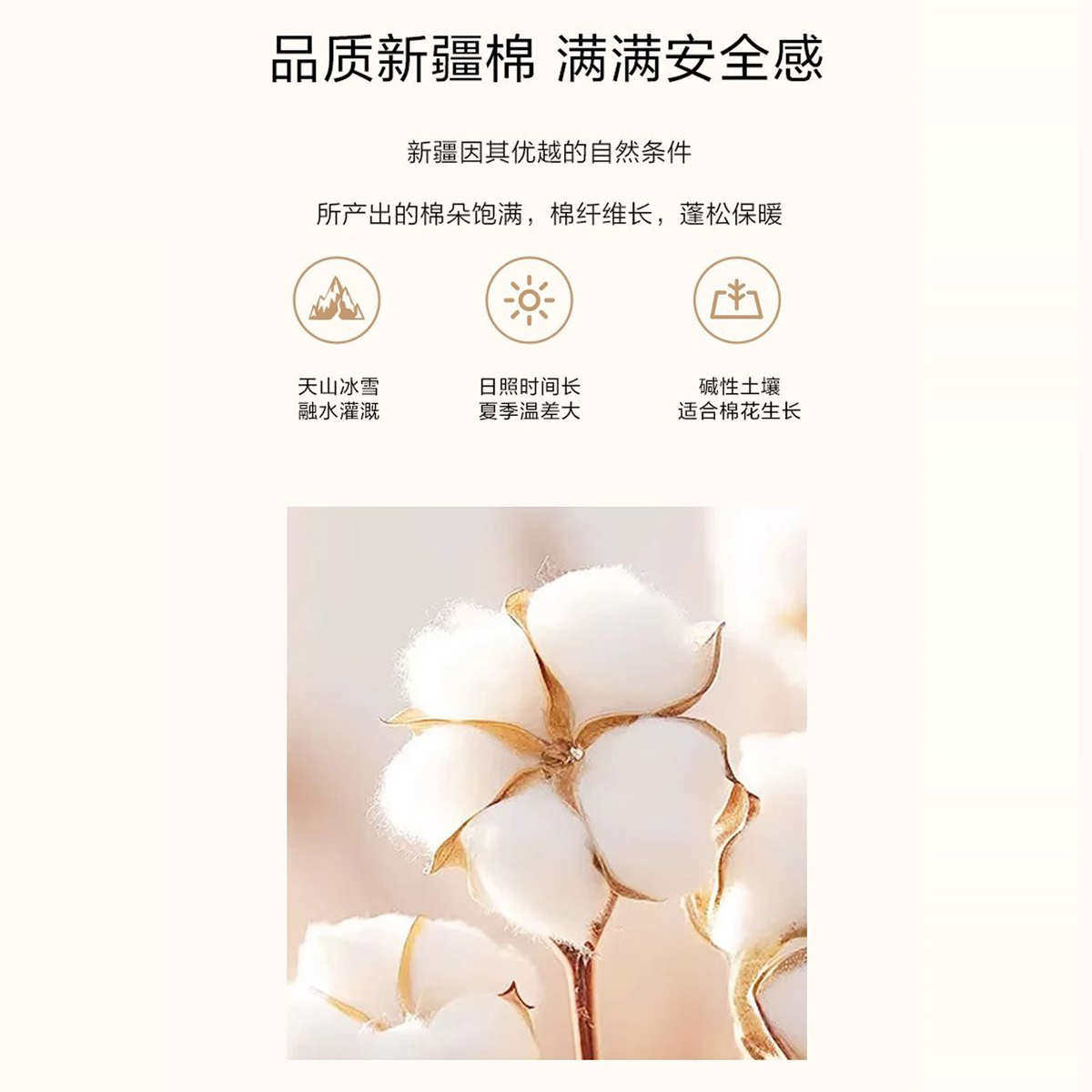 新疆棉花被纯棉花被子盖被芯棉絮床垫被褥子全棉加厚冬被单人双人,淘宝优惠券,粉丝福利购,淘宝优惠卷