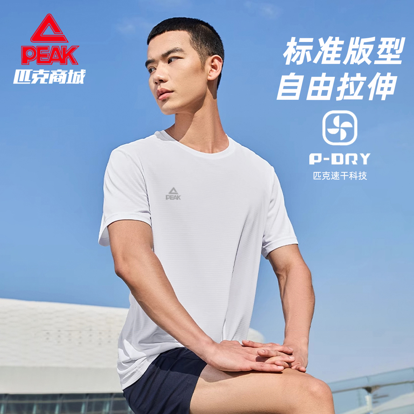 匹克速干短袖男士夏季登山健身男装透气运动上衣男速干衣跑步T恤