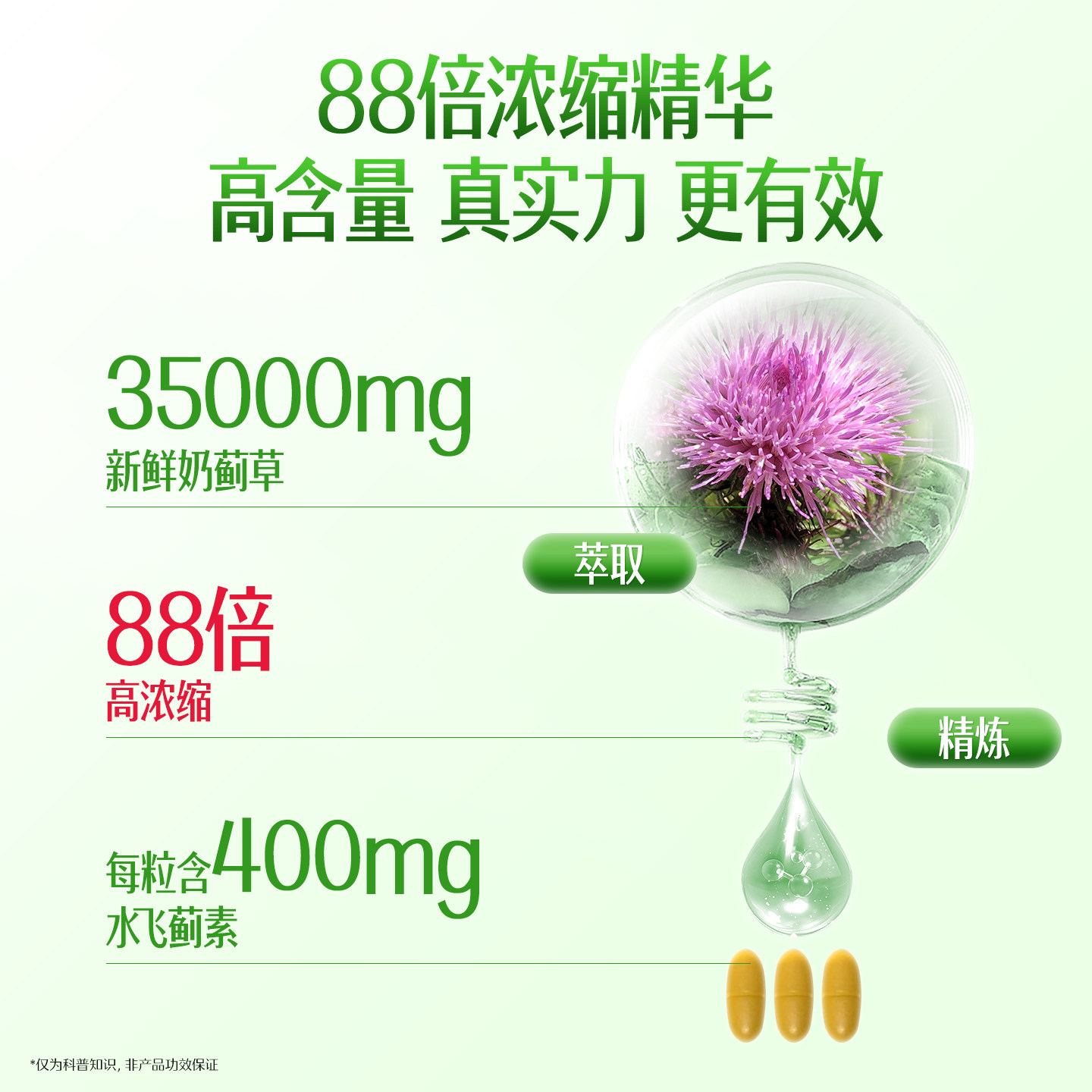 swisse斯维诗护肝片正品奶蓟草男士女性蓟类养肝水飞蓟官方旗舰店 swisse斯维诗护肝片正品奶蓟草男士女性蓟类养肝水飞蓟官方旗舰店
