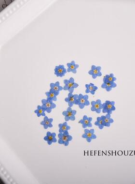 勿忘我花头真花押花迷你花瓣美甲材料diy滴胶杯垫材料ins风小清新