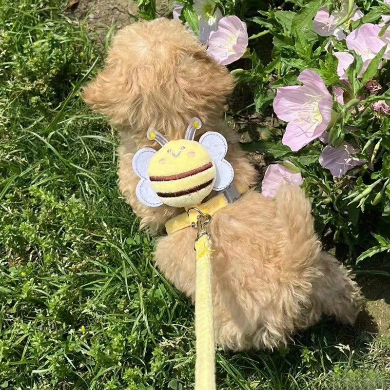 外出专用猫咪牵引绳防挣脱遛小猫宠物兔子小狗狗炼子可调节猫绳子,淘宝优惠券,粉丝福利购,淘宝优惠卷