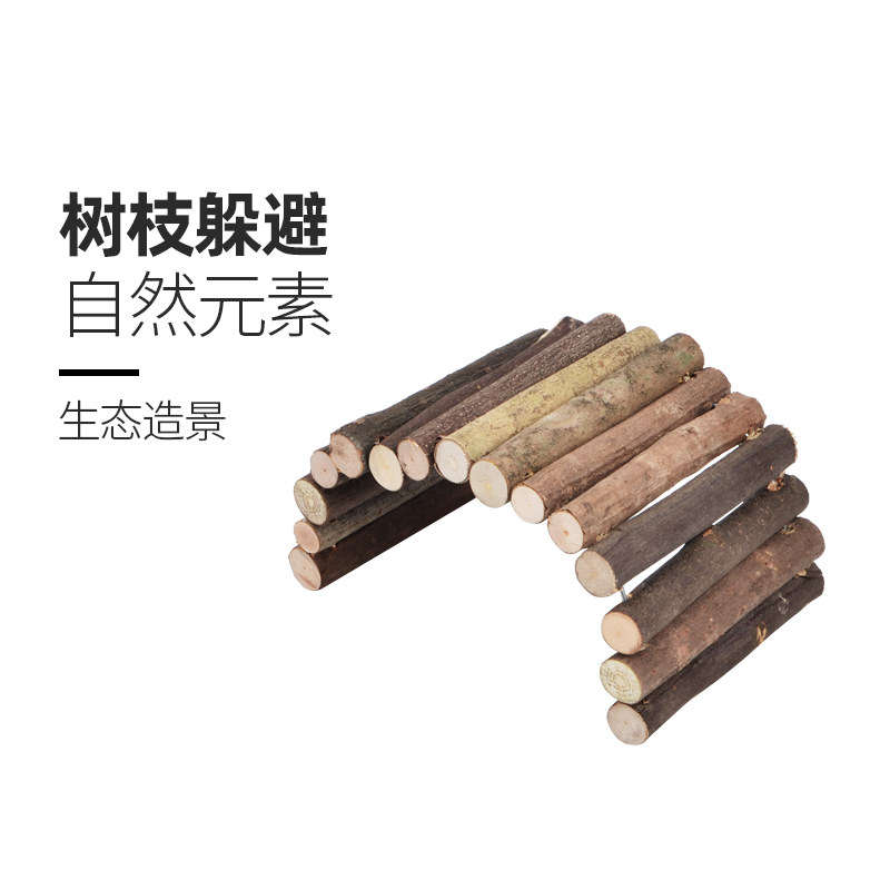 爬宠躲避窝黄缘乌龟蜥蜴角蛙寄居蟹躲避洞爬虫饲养箱生态造景用品,淘宝优惠券,粉丝福利购,淘宝优惠卷