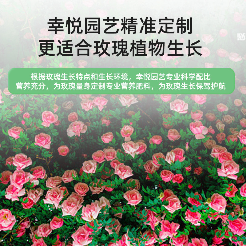 玫瑰花专用缓释肥复合肥家用型控释颗粒植物盆栽绿植花卉养花肥料,淘宝优惠券,粉丝福利购,淘宝优惠卷