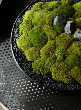样板间书房茶室青苔苔藓永生花艺摆件大圆桌转盘中间圆形微缩造景