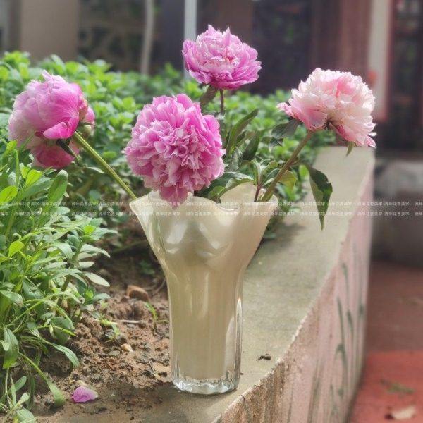 奶橙色珠光小巧自由白菜造型手工玻璃花瓶水养插花器家居装饰摆件,淘宝优惠券,粉丝福利购,淘宝优惠卷