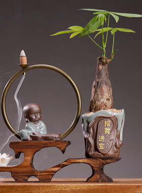 办公室业招财树绿植文竹小盆景客厅玄关桌面装饰品