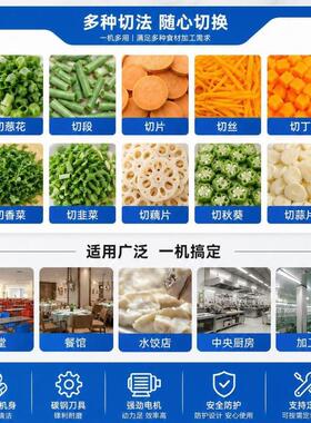 180头切菜机切丝切片切丁多功能一体机食堂家用商用不锈钢设备