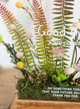 阿楹 玄关边几摆件洞洞板转角绿植办公桌电视柜设计师仿真花软装