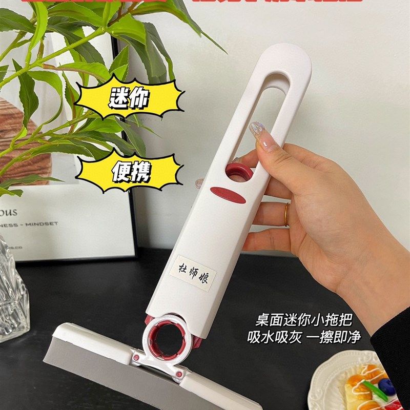 2把包 邮 多功能清洁工具 杜师娘迷你小拖把,淘宝优惠券,粉丝福利购,淘宝优惠卷