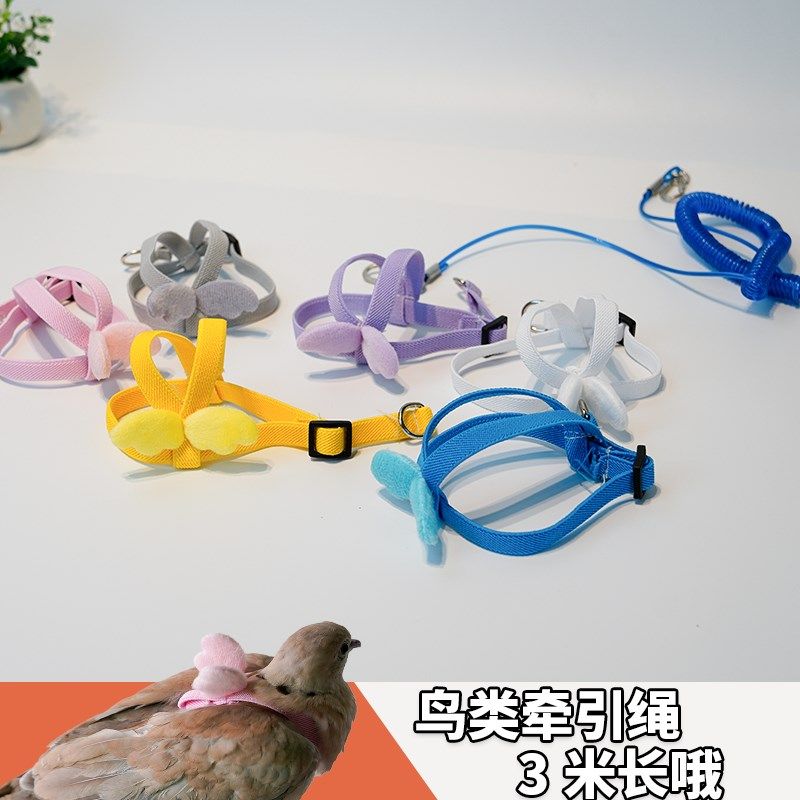 鸟用鹦鹉放飞绳玄凤虎皮牡丹牵引绳飞行外出背带遛鸟神器用品玩具,淘宝优惠券,粉丝福利购,淘宝优惠卷