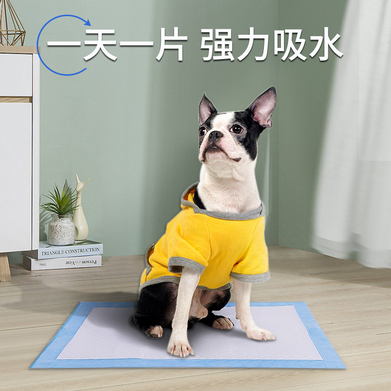 宠物尿片狗尿垫尿不湿吸水加厚除臭尿布隔尿垫泰迪用品卫生垫垫子,淘宝优惠券,粉丝福利购,淘宝优惠卷