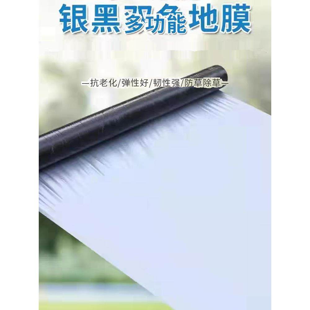 银黑双色膜反光植膜农膜RRM用黑地膜银膜黑膜除草 种 塑料薄膜膜,淘宝优惠券,粉丝福利购,淘宝优惠卷