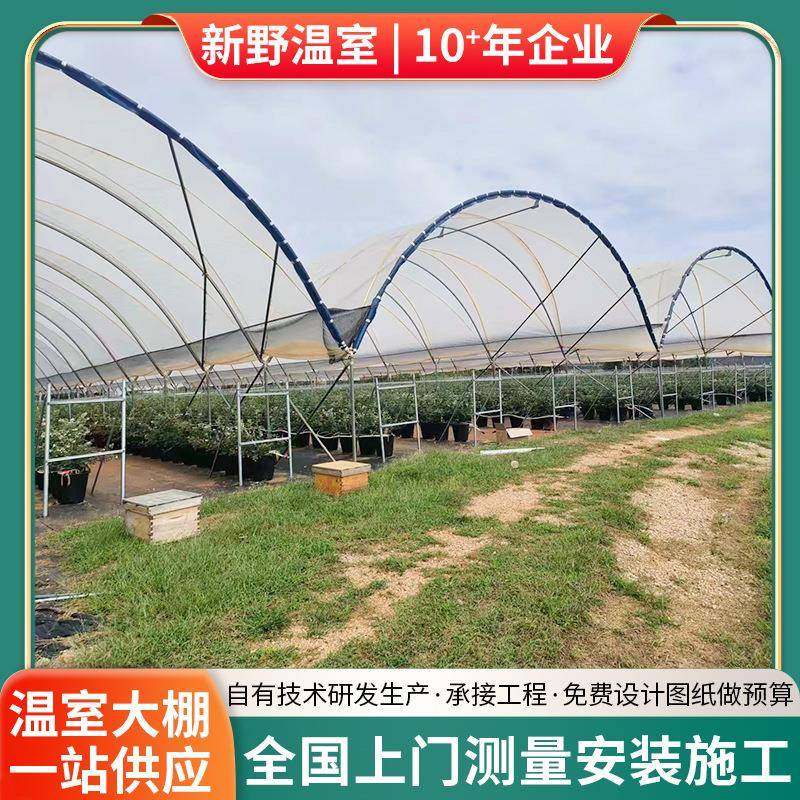 简易蓝莓避雨棚新野承接温室大棚厂家葡萄樱桃种植棚采光良,淘宝优惠券,粉丝福利购,淘宝优惠卷
