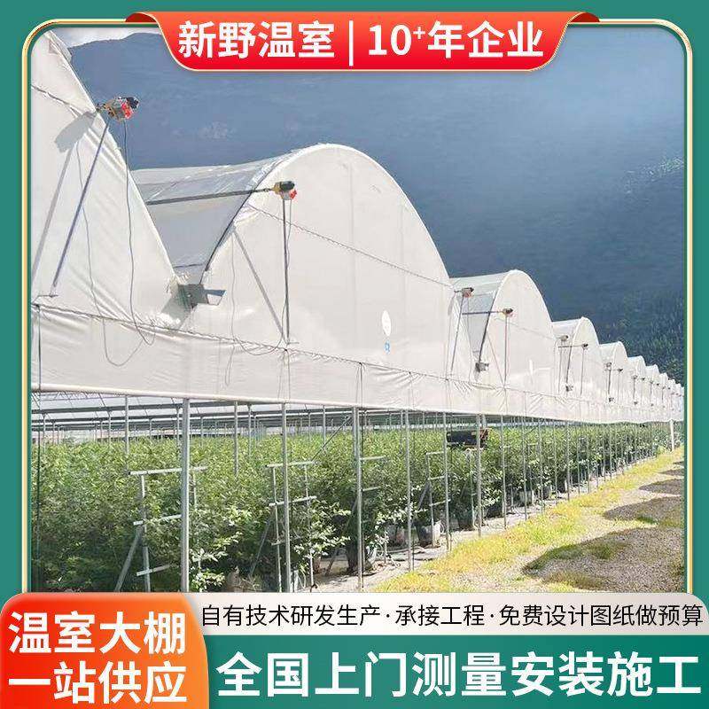 简易蓝莓避雨棚新野承接温室大棚厂家葡萄樱桃种植棚采光良,淘宝优惠券,粉丝福利购,淘宝优惠卷