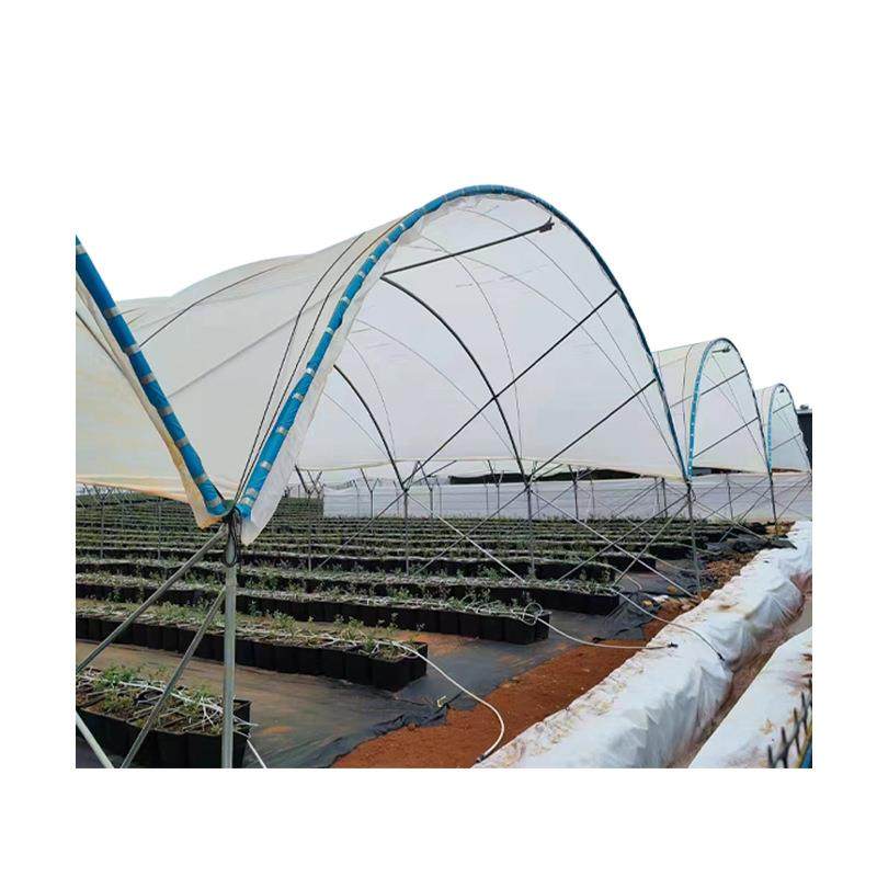简易蓝莓避雨棚新野承接温室大棚厂家葡萄樱桃种植棚采光良,淘宝优惠券,粉丝福利购,淘宝优惠卷