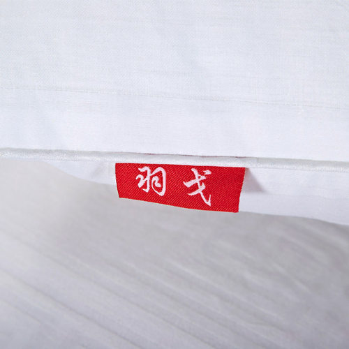 正方形靠背枕芯f方枕芯抱枕芯45 45 50 50 60x60 65x65cm一对靠枕 - 图2