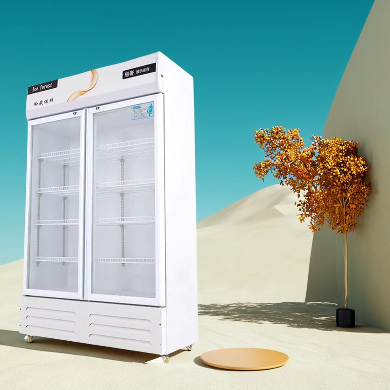 啤酒饮料冷藏展示柜商用单双门三开门网红冰柜超市酒吧立式酒水柜 - 图2