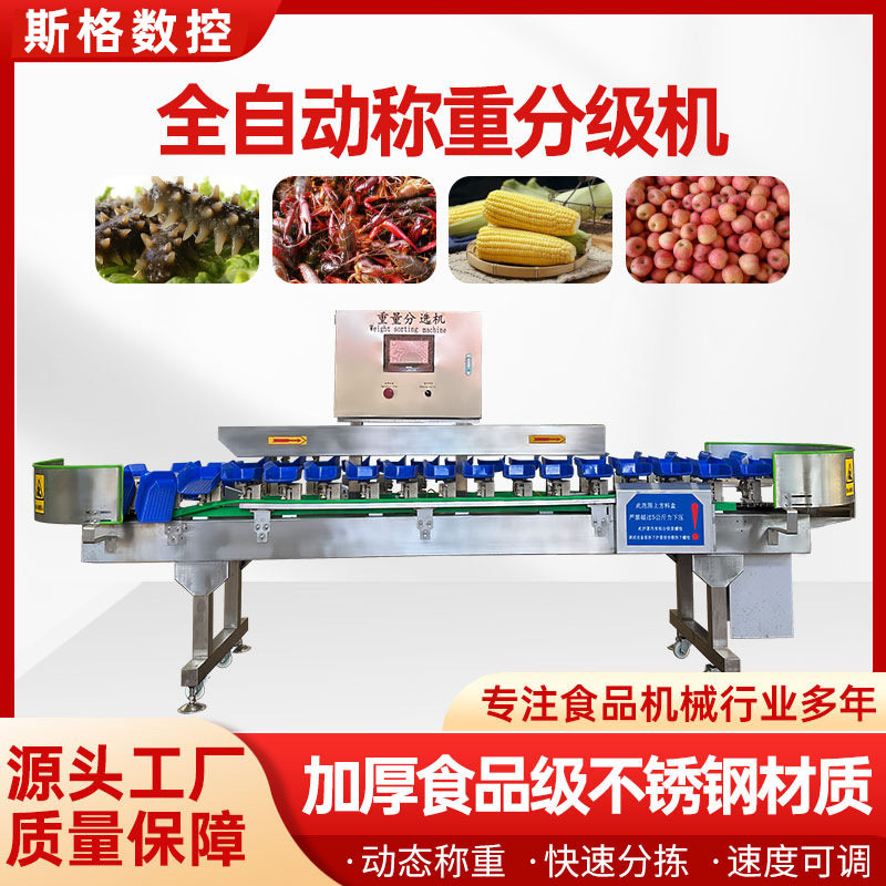 全自动重量分选机海参鲍鱼生蚝洋葱挑选机百香果猕猴桃芒果选果机,淘宝优惠券,粉丝福利购,淘宝优惠卷