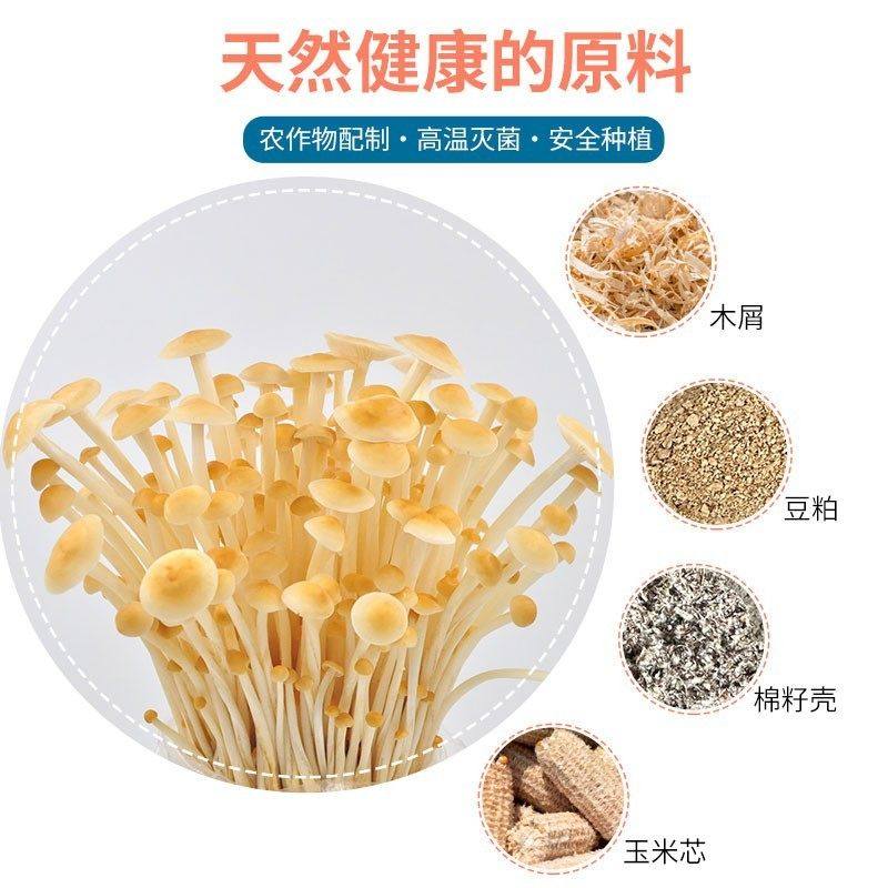 蘑菇种植菌包食用菌黑平菇香菇种子袋装栽培多肉园艺蘑菇盆栽菌棒,淘宝优惠券,粉丝福利购,淘宝优惠卷