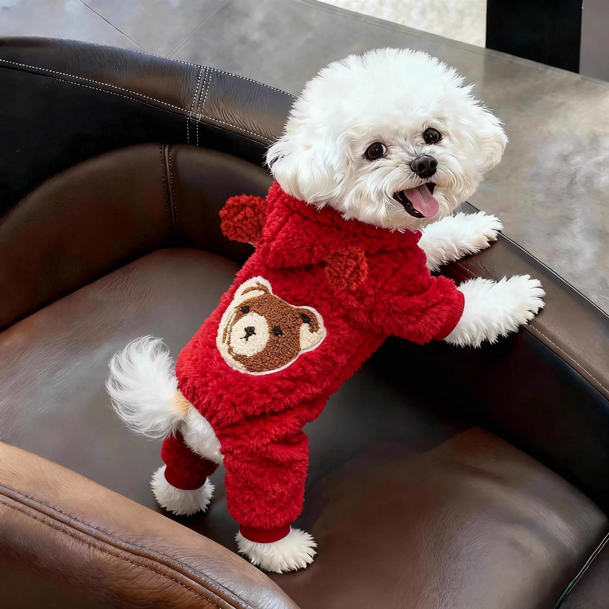 会卖萌的狗狗冬装立体小熊耳朵连帽卫衣加厚保暖宠物衣服秋冬款,淘宝优惠券,粉丝福利购,淘宝优惠卷