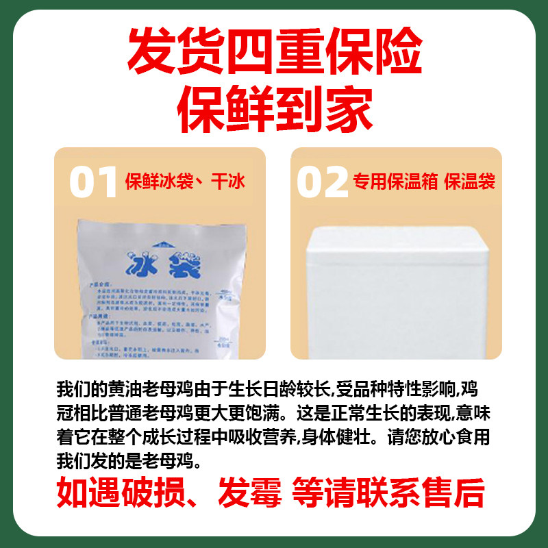 农家下蛋鸡500天老母鸡整鸡土鸡农家乡下散养走地鸡现杀冰鲜速发,淘宝优惠券,粉丝福利购,淘宝优惠卷