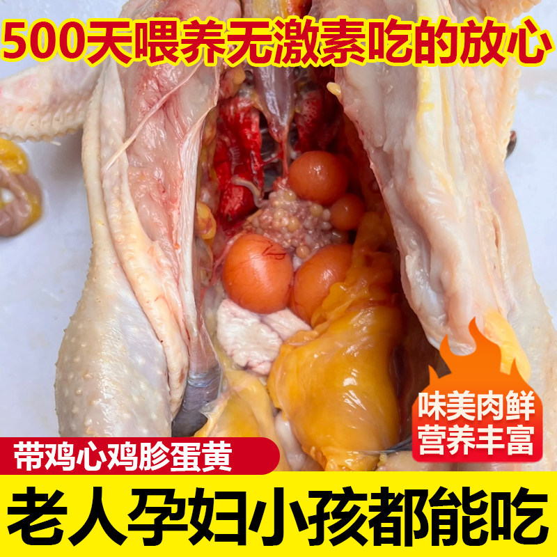 农家下蛋鸡500天老母鸡整鸡土鸡农家乡下散养走地鸡现杀冰鲜速发,淘宝优惠券,粉丝福利购,淘宝优惠卷