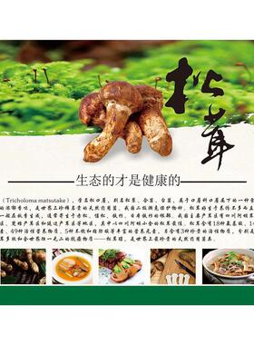 食用菌黑松露松茸山珍美味美食海报画写真PP背胶纸打印定制