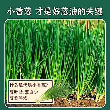 葱油香葱酱拌面酱料120g*2袋[23元优惠券]-寻折猪