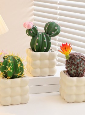 仿真多肉小盆栽仙人球客厅室内仿生绿植办公室桌面工位装饰品摆件