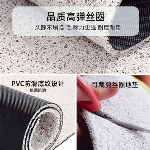小猫丝圈入户门地垫玄关进门门垫家用防滑耐脏P脚垫可裁剪门外地 - 图2
