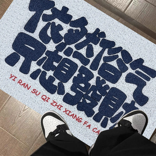 家用脚垫入户f门玄关地垫防滑耐磨门口丝圈门垫宿舍可定制裁剪地 - 图1