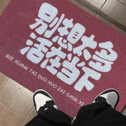 家用脚垫入户f门玄关地垫防滑耐磨门口丝圈门垫宿舍可定制裁剪地 - 图3