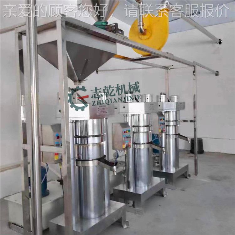 壳桃榨油核带机麻 立式液压植物压油机 JPH芝香油机 加工胡麻油机 - 图1