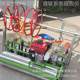 Six-line rapeseed peony small granulated seed yl-bzj machine Baigao Mizutani on-demand machine Fresh skin red essence sowing machine