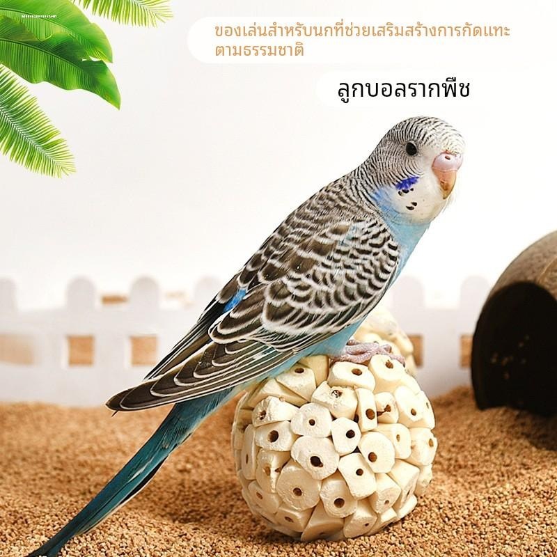 Parrot chews and plays with grass ball, bird toy hair