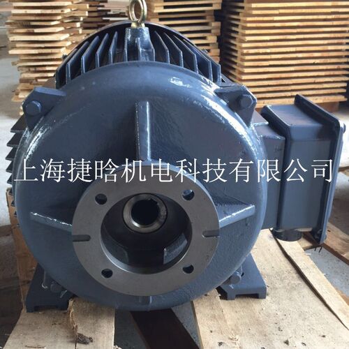 YQB160L-4液压电机配恒源 启东高压轴向柱塞泵40MCY14-1B - 图1