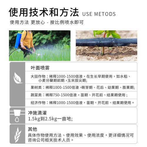 糖醇锌25kg微量元素叶面肥预防小叶黄化改善品质补锌锌肥银海 - 图1