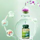 YANNAN milk thistle milk thistle kudzu capsules ສໍາລັບຜູ້ຊາຍແລະແມ່ຍິງ