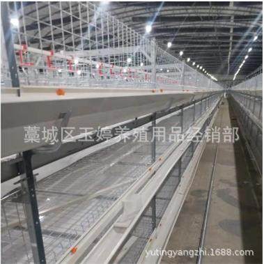 供应蛋鸡笼自动捡蛋机自动层叠蛋鸡笼 捡蛋带蛋集蛋一体机热镀锌,淘宝优惠券,粉丝福利购,淘宝优惠卷