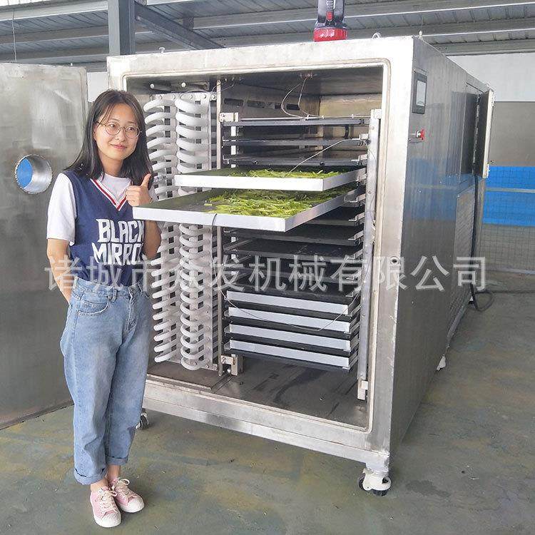 供应奶酪冻干机 牦牛酸奶低温冻干机器 酒酿蛋真空冻干设备,淘宝优惠券,粉丝福利购,淘宝优惠卷