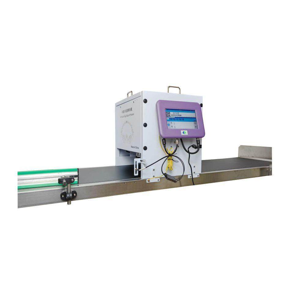 流水线鸡蛋喷码机整托盘喷印数字英文汉字LOGO打印高效快捷打码机,淘宝优惠券,粉丝福利购,淘宝优惠卷