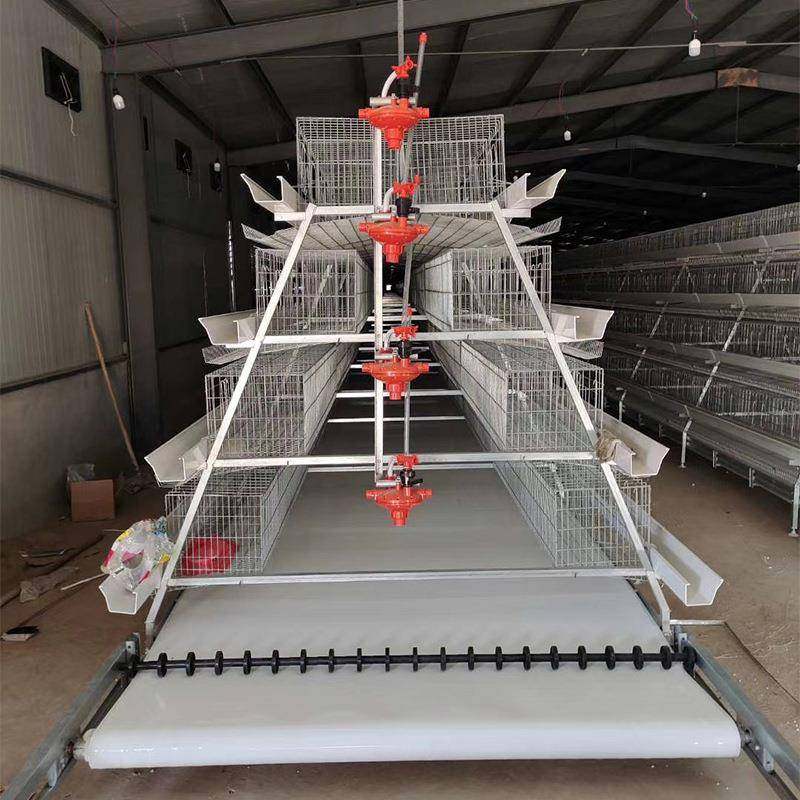 生产全自动肉鸡笼层叠式框架肉鸡笼养殖设备常年出口现货,淘宝优惠券,粉丝福利购,淘宝优惠卷