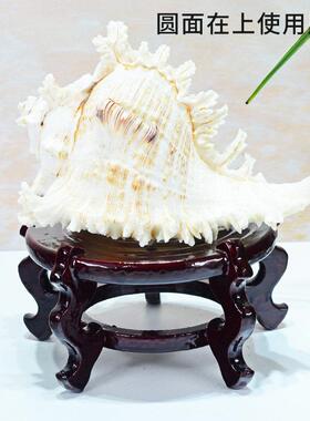 高脚木质底座托架海螺花瓶花盆底坐石头香炉鱼缸木托盘架摆件底座