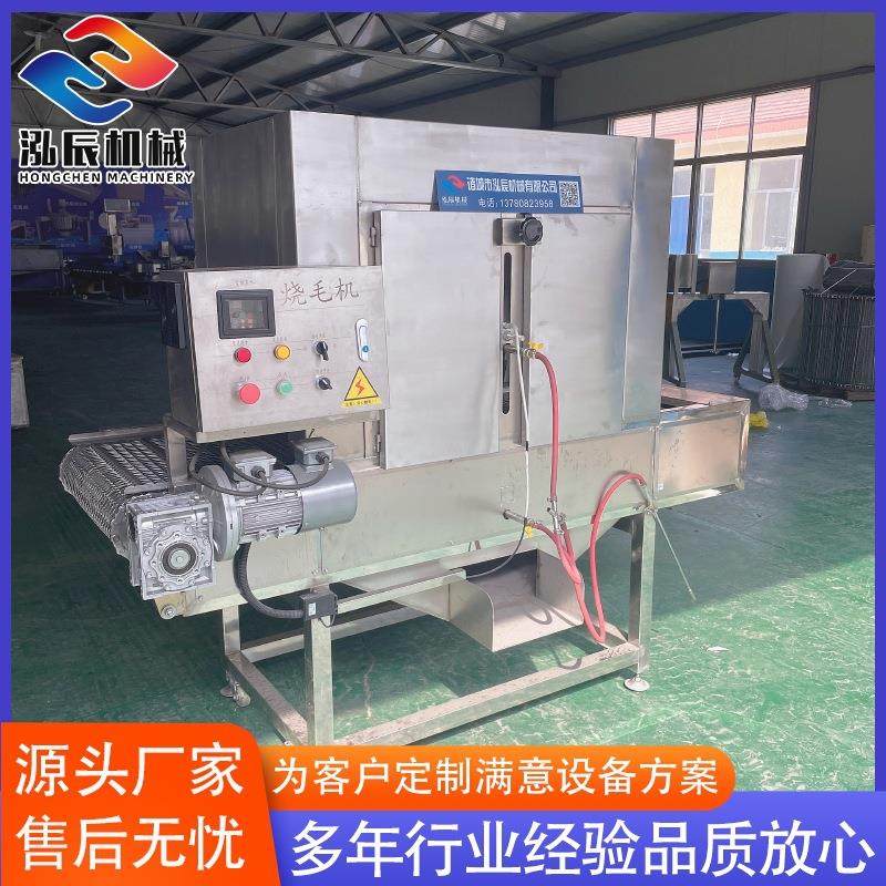 猪蹄烧毛设备 网带式猪头烧毛流水线 全自动烧毛机设备 厂家供应,淘宝优惠券,粉丝福利购,淘宝优惠卷