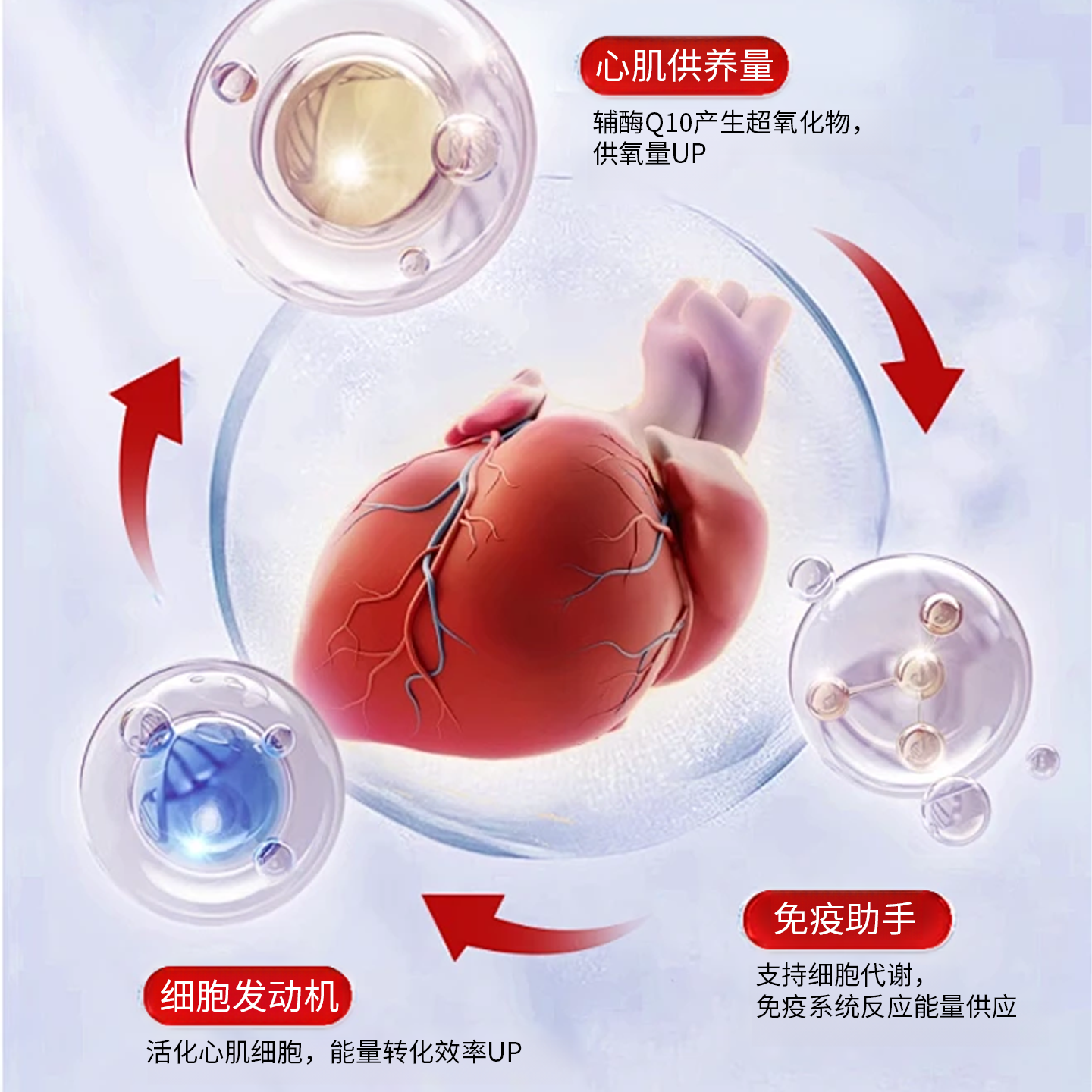 美国进口品牌还原性型辅酶q10软胶囊心脑保健品中老年人保护心肌K,淘宝优惠券,粉丝福利购,淘宝优惠卷